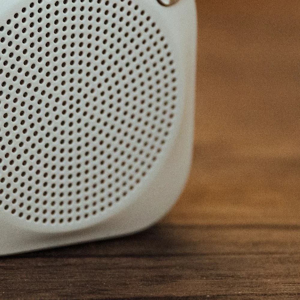 Roomfill portable Bluetooth speaker, detail